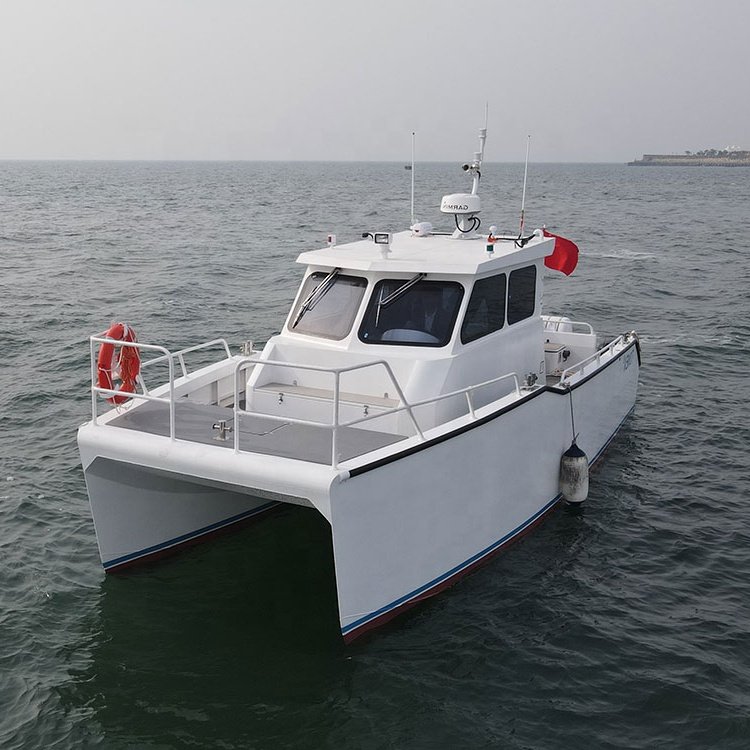 10m Catamaran Aluminum Boat Double Hull Boat Yacht with Outboard Engine